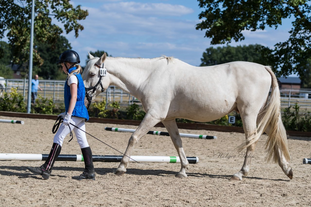 Bild 156 - Pony Akademie Turnier